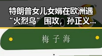 特朗普女儿女婿在欧洲遇“火烈鸟”围攻,孙正义只当了3天亚洲首富的反差故事