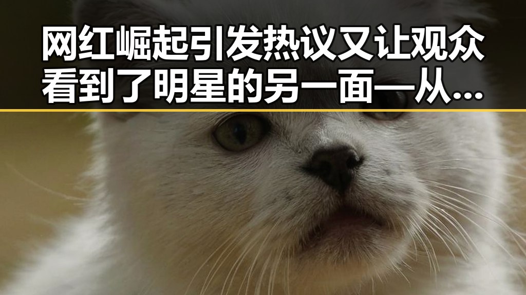 网红崛起引发热议又让观众看到了明星的另一面—从奔跑吧兄弟到51吃瓜网站在线观看的娱乐新格局